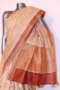 Abstract Tussar Printed Silk Saree 